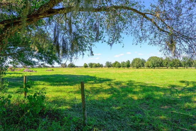 10650 BRENDLE RD photo